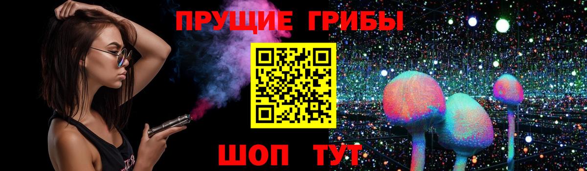 Черкесск  Псилоцибиновые грибы ЛСД  Вход с VPN  Галлюциногенные грибы MAGIC MUSHROOMS 